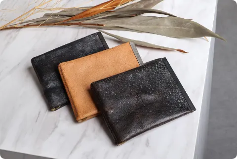 six coup de foudre（シスクー・ド・フードル）