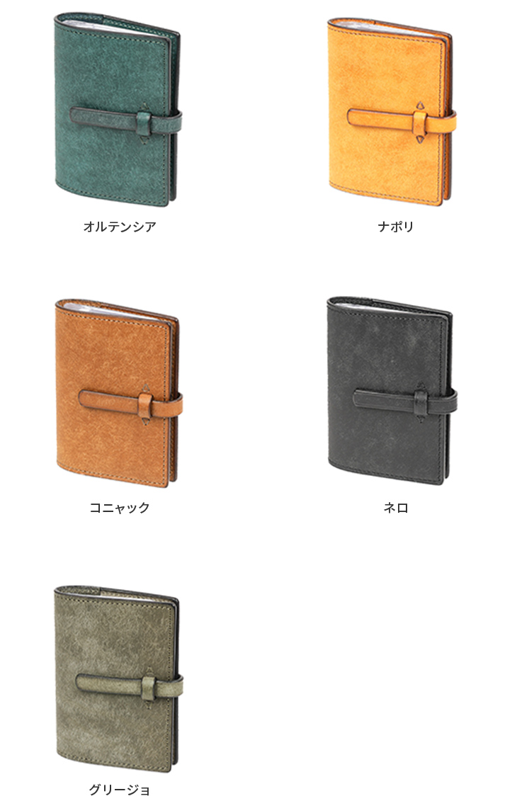 カラーバリエーション