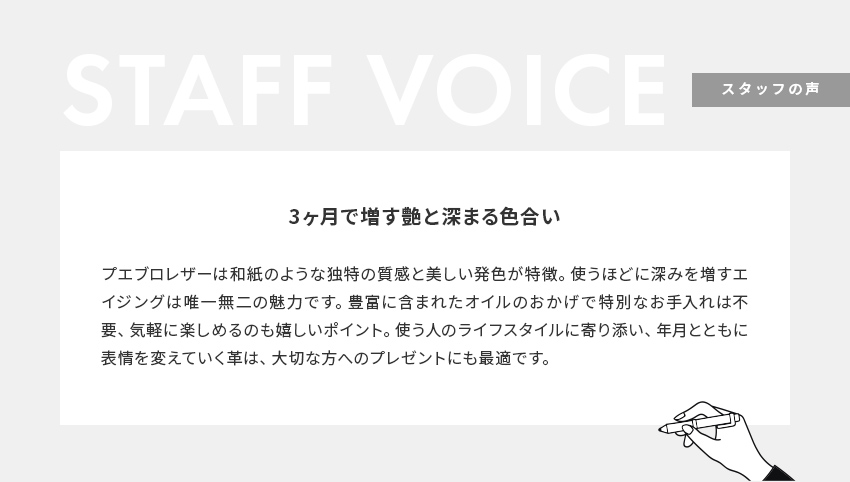 STAFF VOICE