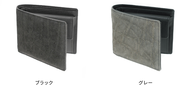 カラーバリエーション