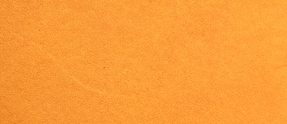 ミネルバリスシオ 特徴